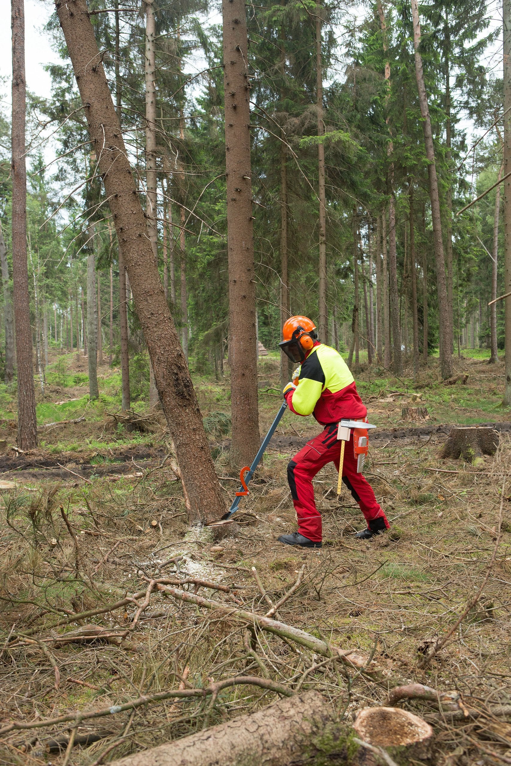 Bahco Fällheber